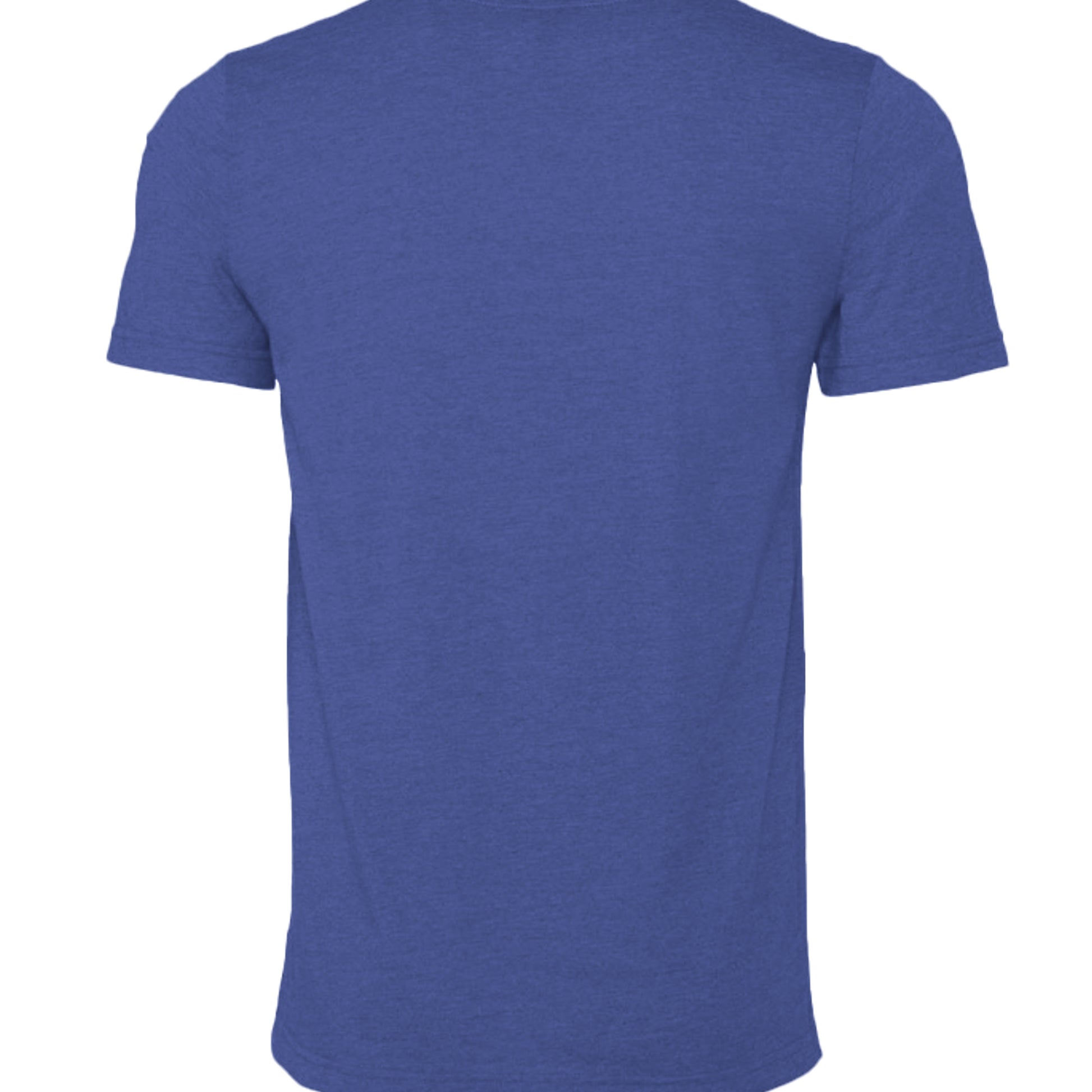 Heather True Royal - 3001CVC - BACK