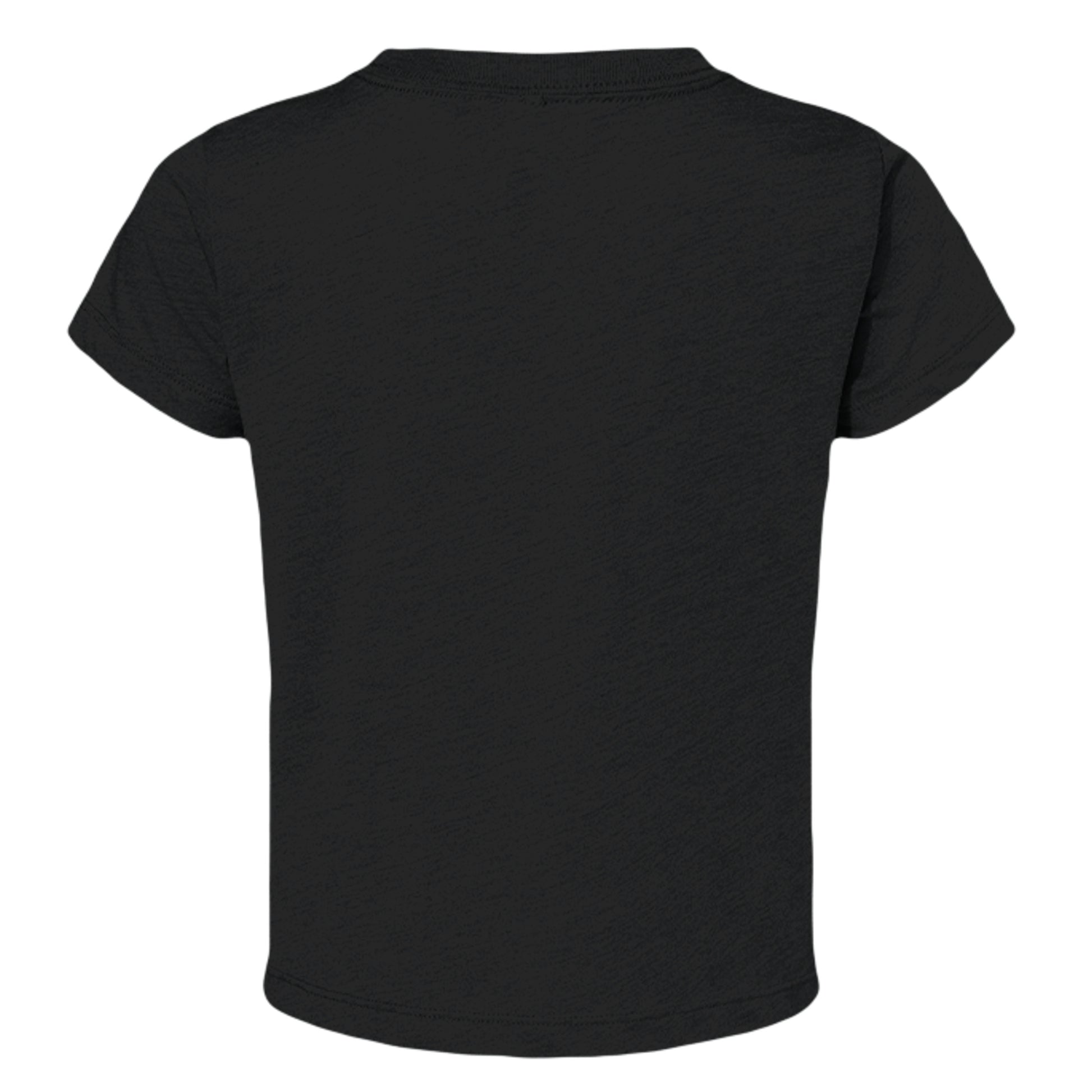Solid Black Triblend - 3413B - BACK